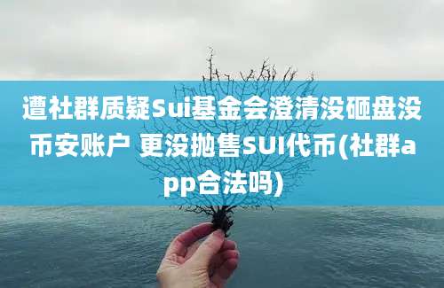 遭社群质疑Sui基金会澄清没砸盘没币安账户 更没抛售SUI代币(社群app合法吗)