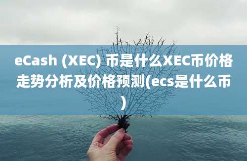 eCash (XEC) 币是什么XEC币价格走势分析及价格预测(ecs是什么币)