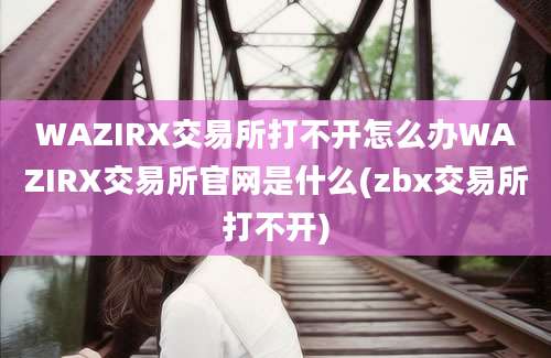 WAZIRX交易所打不开怎么办WAZIRX交易所官网是什么(zbx交易所打不开)