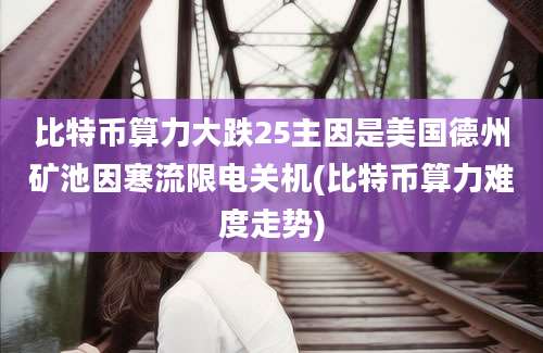 比特币算力大跌25主因是美国德州矿池因寒流限电关机(比特币算力难度走势)