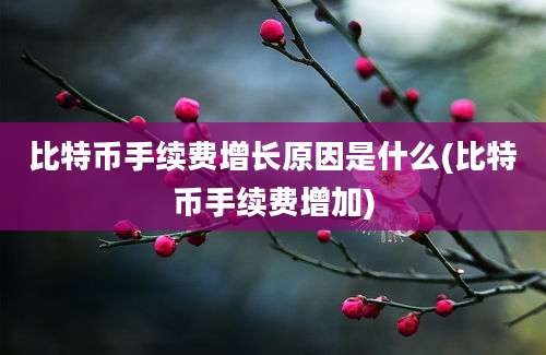 比特币手续费增长原因是什么(比特币手续费增加)