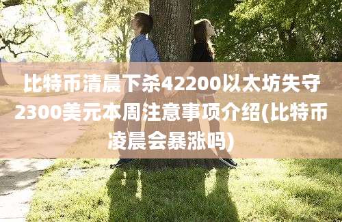 比特币清晨下杀42200以太坊失守2300美元本周注意事项介绍(比特币凌晨会暴涨吗)