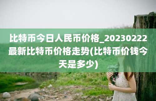 比特币今日人民币价格_20230222最新比特币价格走势(比特币价钱今天是多少)