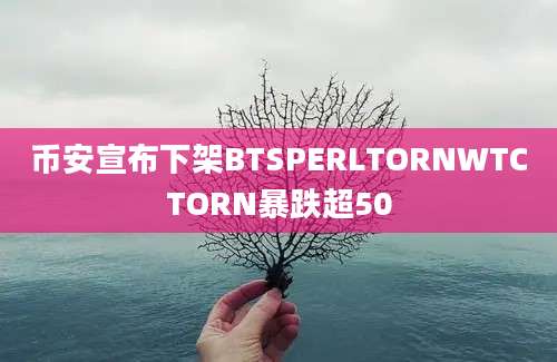 币安宣布下架BTSPERLTORNWTCTORN暴跌超50