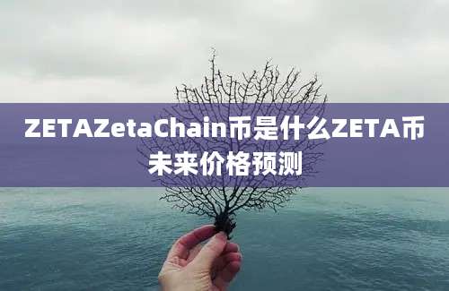 ZETAZetaChain币是什么ZETA币未来价格预测