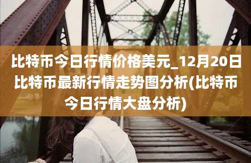 比特币今日行情价格美元_12月20日比特币最新行情走势图分析(比特币今日行情大盘分析)