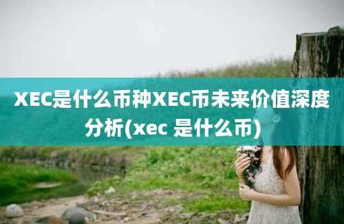 XEC是什么币种XEC币未来价值深度分析(xec 是什么币)