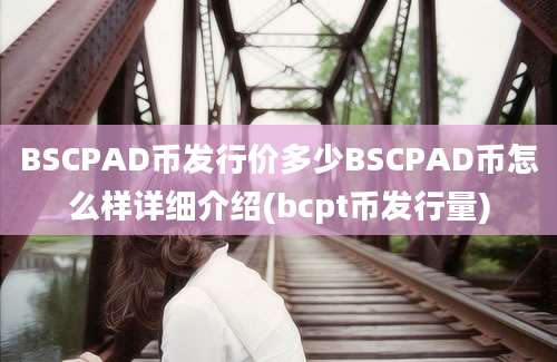 BSCPAD币发行价多少BSCPAD币怎么样详细介绍(bcpt币发行量)