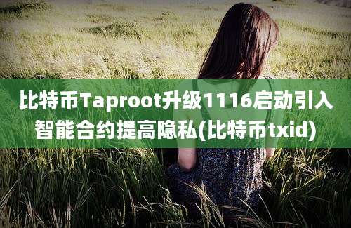 比特币Taproot升级1116启动引入智能合约提高隐私(比特币txid)