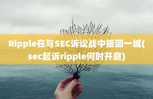 Ripple在与SEC诉讼战中扳回一城(sec起诉ripple何时开庭)