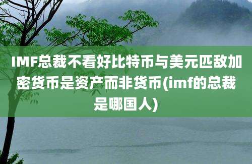 IMF总裁不看好比特币与美元匹敌加密货币是资产而非货币(imf的总裁是哪国人)