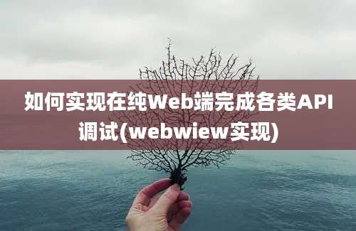 如何实现在纯Web端完成各类API调试(webwiew实现)