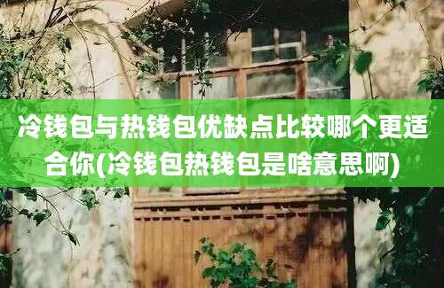 冷钱包与热钱包优缺点比较哪个更适合你(冷钱包热钱包是啥意思啊)