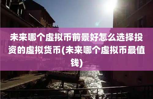 未来哪个虚拟币前景好怎么选择投资的虚拟货币(未来哪个虚拟币最值钱)