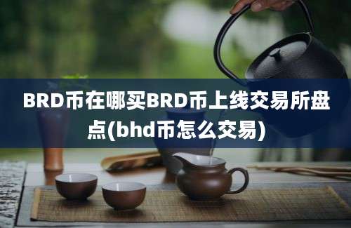 BRD币在哪买BRD币上线交易所盘点(bhd币怎么交易)