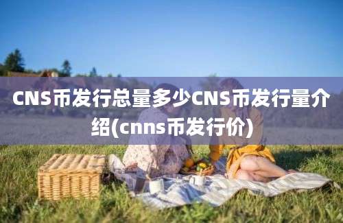 CNS币发行总量多少CNS币发行量介绍(cnns币发行价)