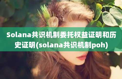 Solana共识机制委托权益证明和历史证明(solana共识机制poh)