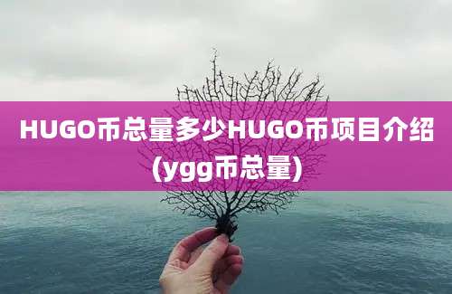 HUGO币总量多少HUGO币项目介绍(ygg币总量)