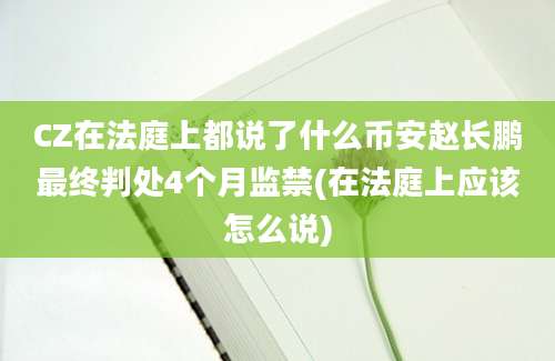 CZ在法庭上都说了什么币安赵长鹏最终判处4个月监禁(在法庭上应该怎么说)