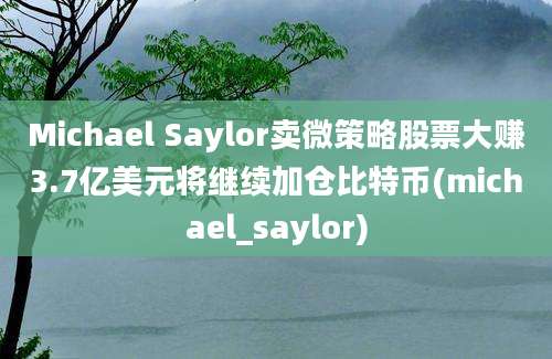 Michael Saylor卖微策略股票大赚3.7亿美元将继续加仓比特币(michael_saylor)