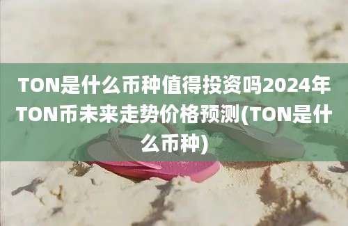 TON是什么币种值得投资吗2024年TON币未来走势价格预测(TON是什么币种)