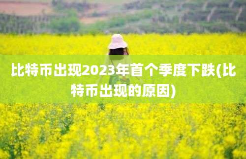 比特币出现2023年首个季度下跌(比特币出现的原因)