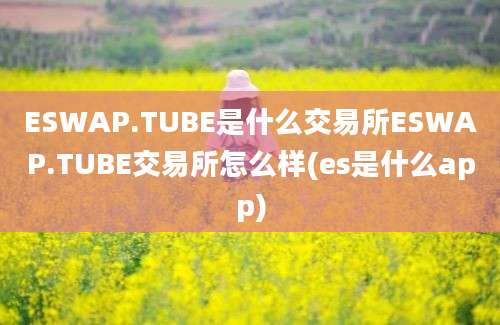 ESWAP.TUBE是什么交易所ESWAP.TUBE交易所怎么样(es是什么app)