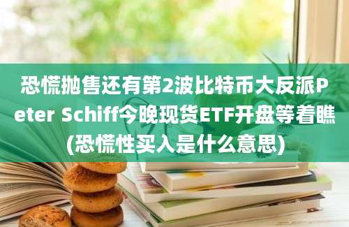 恐慌抛售还有第2波比特币大反派Peter Schiff今晚现货ETF开盘等着瞧(恐慌性买入是什么意思)