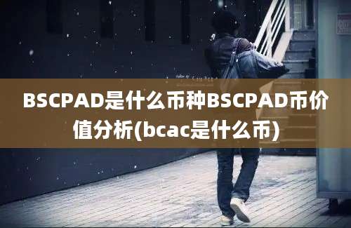 BSCPAD是什么币种BSCPAD币价值分析(bcac是什么币)