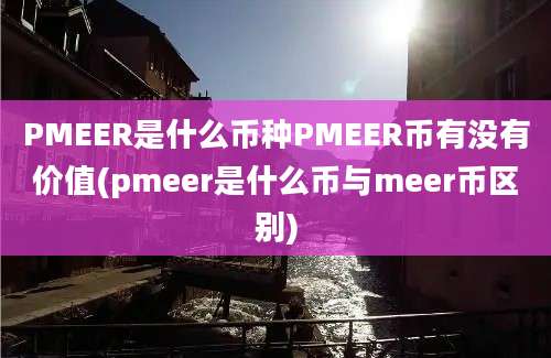 PMEER是什么币种PMEER币有没有价值(pmeer是什么币与meer币区别)