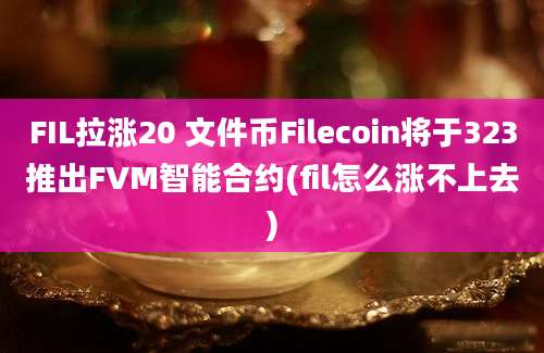 FIL拉涨20 文件币Filecoin将于323推出FVM智能合约(fil怎么涨不上去)