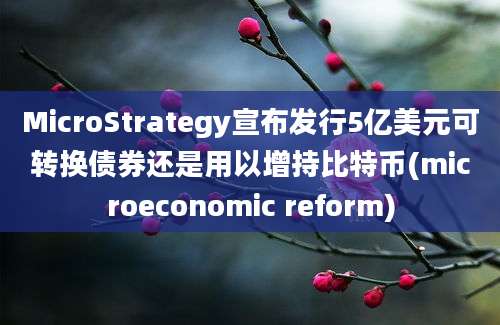 MicroStrategy宣布发行5亿美元可转换债券还是用以增持比特币(microeconomic reform)