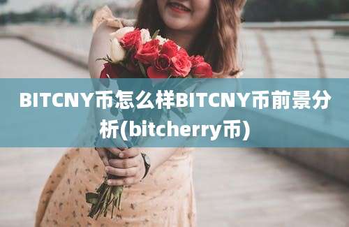 BITCNY币怎么样BITCNY币前景分析(bitcherry币)