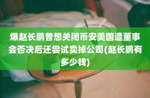 爆赵长鹏曾想关闭币安美国遭董事会否决后还尝试卖掉公司(赵长鹏有多少钱)