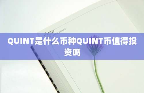 QUINT是什么币种QUINT币值得投资吗