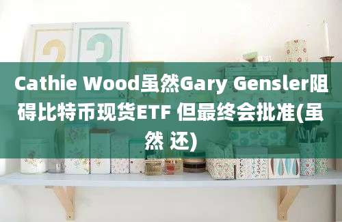 Cathie Wood虽然Gary Gensler阻碍比特币现货ETF 但最终会批准(虽然 还)