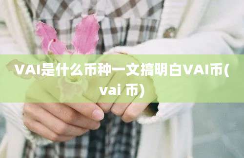 VAI是什么币种一文搞明白VAI币(vai 币)