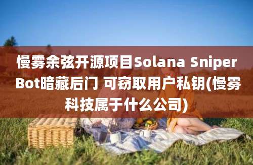 慢雾余弦开源项目Solana Sniper Bot暗藏后门 可窃取用户私钥(慢雾科技属于什么公司)