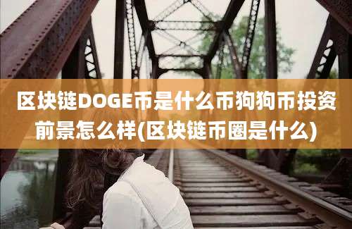 区块链DOGE币是什么币狗狗币投资前景怎么样(区块链币圈是什么)