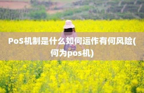 PoS机制是什么如何运作有何风险(何为pos机)