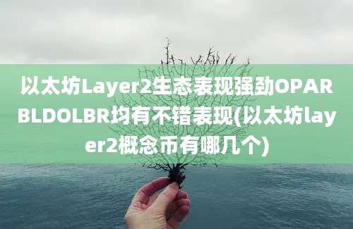 以太坊Layer2生态表现强劲OPARBLDOLBR均有不错表现(以太坊layer2概念币有哪几个)