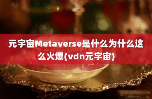 元宇宙Metaverse是什么为什么这么火爆(vdn元宇宙)