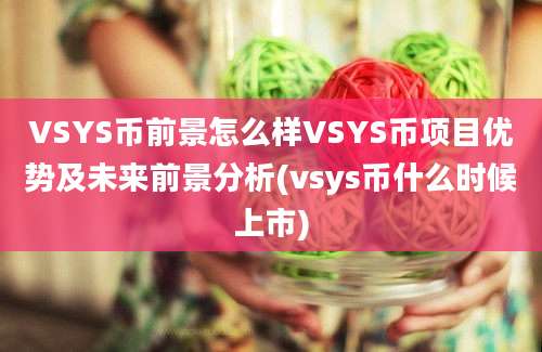 VSYS币前景怎么样VSYS币项目优势及未来前景分析(vsys币什么时候上市)