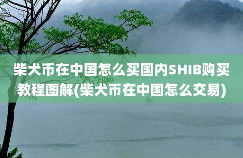 柴犬币在中国怎么买国内SHIB购买教程图解(柴犬币在中国怎么交易)