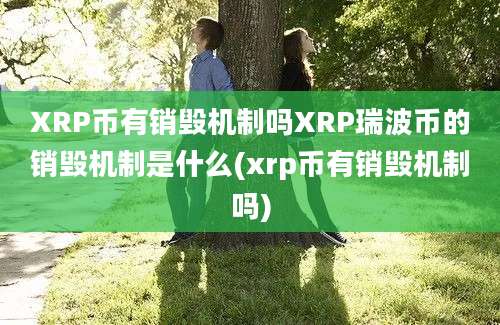 XRP币有销毁机制吗XRP瑞波币的销毁机制是什么(xrp币有销毁机制吗)