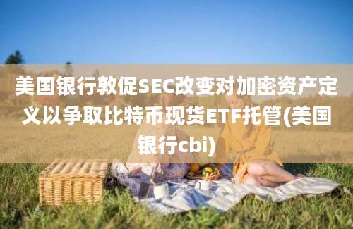 美国银行敦促SEC改变对加密资产定义以争取比特币现货ETF托管(美国银行cbi)