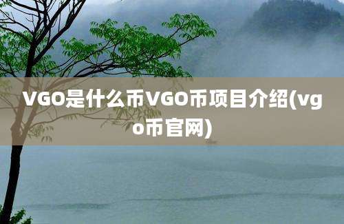 VGO是什么币VGO币项目介绍(vgo币官网)