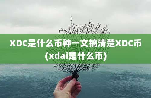 XDC是什么币种一文搞清楚XDC币(xdai是什么币)