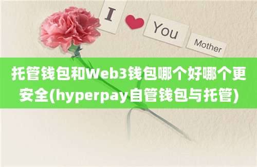 托管钱包和Web3钱包哪个好哪个更安全(hyperpay自管钱包与托管)