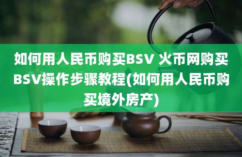 如何用人民币购买BSV 火币网购买BSV操作步骤教程(如何用人民币购买境外房产)